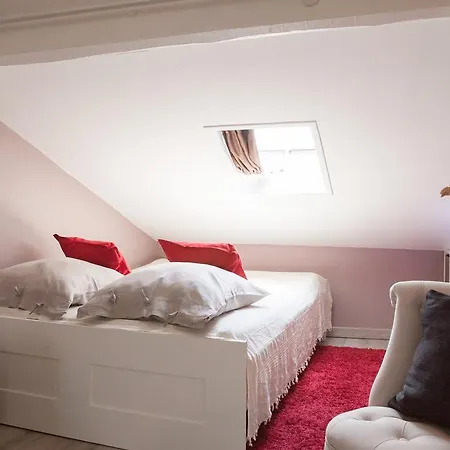 Spacious 2-bedroom Family Duplex With Free Parking And Netflix Μπορντό